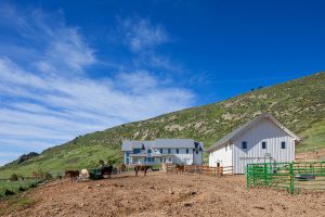 Koda Modern Farmhouse barn