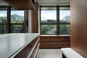 Modern Minimalist Closet in Colorado